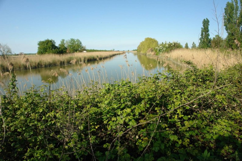 Location de vacances - Maison - Villa à Duna Verde - Les environs avec ses voie d'eaux