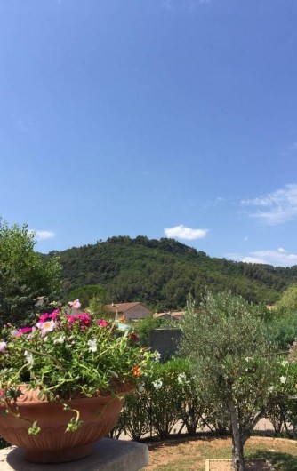 Location de vacances - Villa à Vidauban