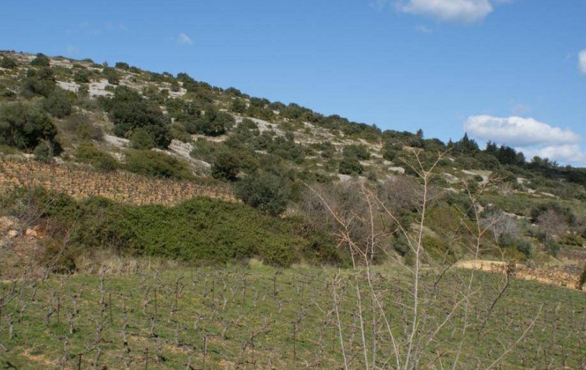 Location de vacances - Chambre d'hôtes à Saint-Jean-de-Fos