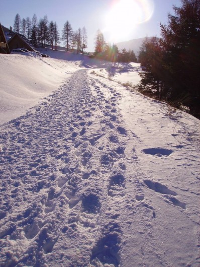 Location de vacances - Chalet à La Joue du Loup