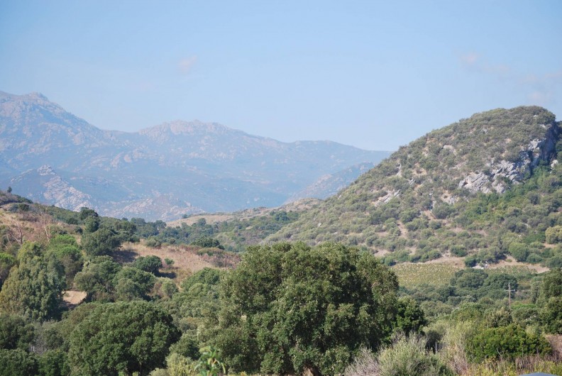 Location de vacances - Appartement à Oletta - vue de la terrasse