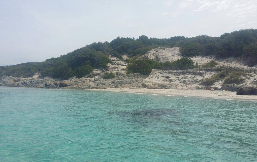 Location de vacances - Appartement à Oletta - PLAGE DE SALLECIA