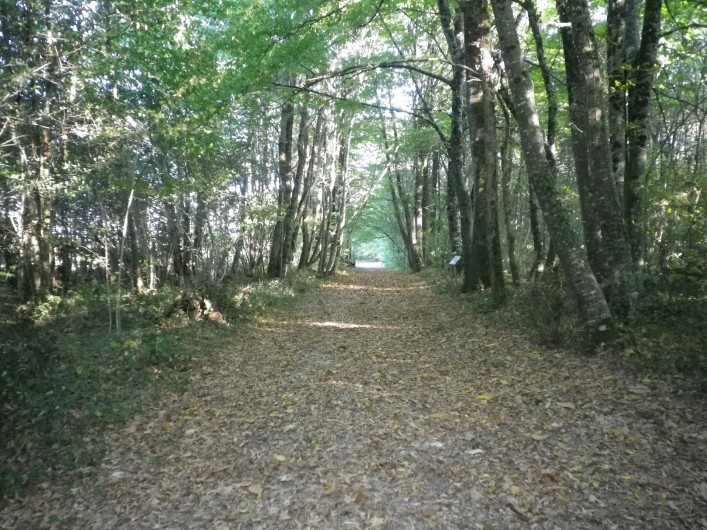 Location de vacances - Gîte à Vanzac - Sentier pédagogique