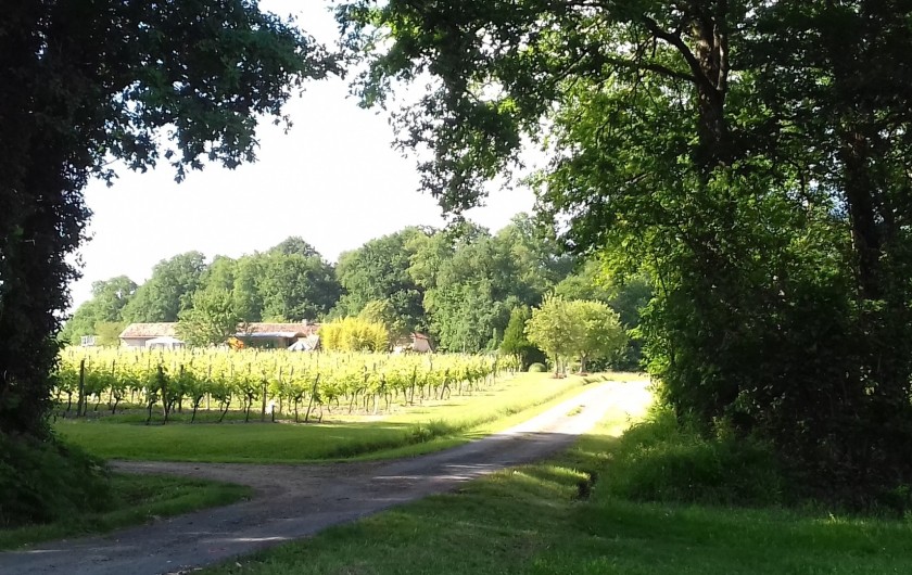 Location de vacances - Gîte à Vanzac - En bois et vignes