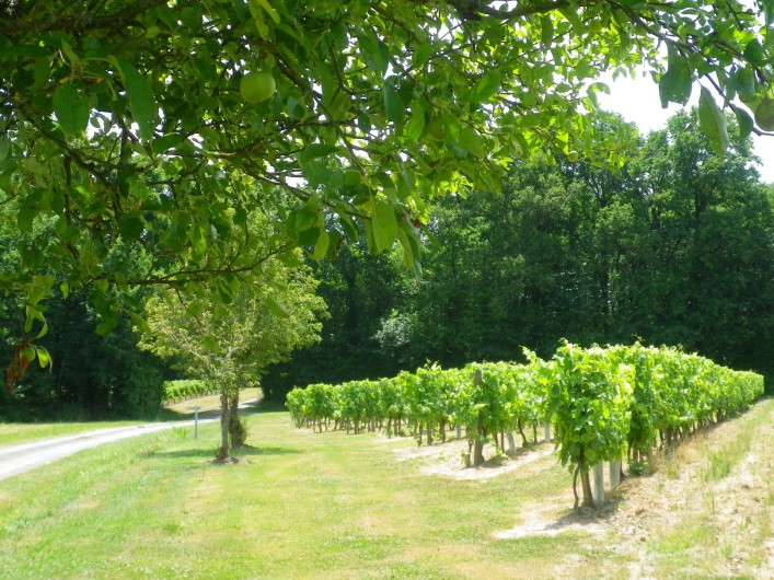 Location de vacances - Gîte à Vanzac - Balades à volontés