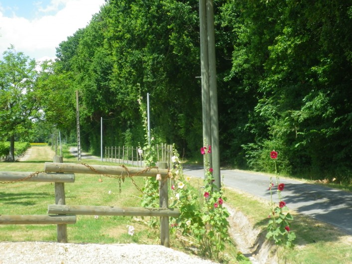 Location de vacances - Gîte à Vanzac - Arrivée depuis les bois