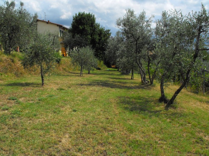 Location de vacances - Appartement à Reggello - Jardin