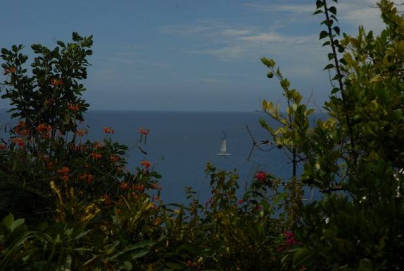 Location de vacances - Appartement à Les Anses-d'Arlet