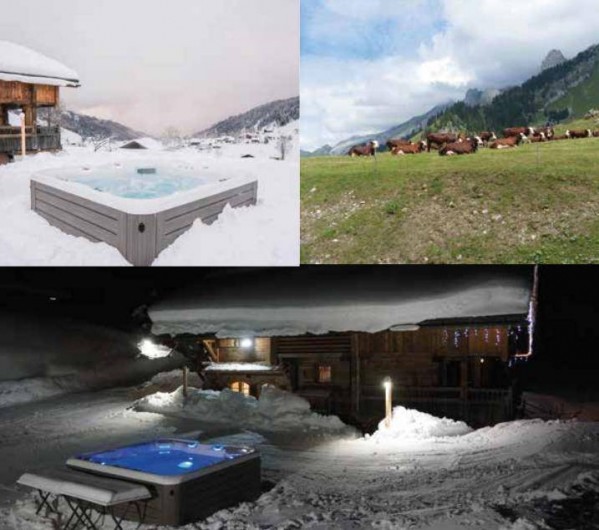 Location de vacances - Chalet à La Clusaz