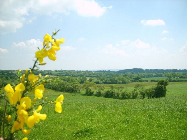 Location de vacances - Gîte à Calanhel - Vue sur les collines de l'Argoat