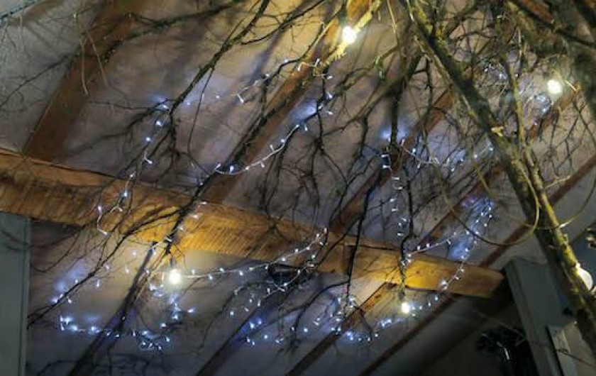 Location de vacances - Appartement à Rontalon - le loft "papillons"