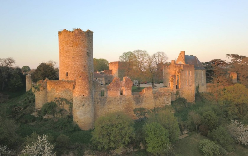 Location de vacances - Château - Manoir à Montreuil-Bonnin - vue aérienne