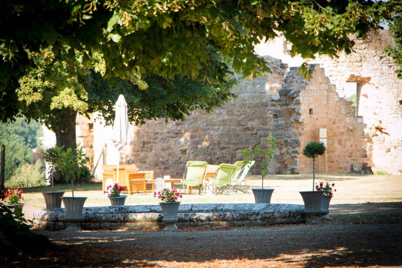 Location de vacances - Château - Manoir à Montreuil-Bonnin - terrasse et transats