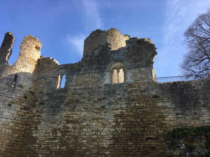 Location de vacances - Château - Manoir à Montreuil-Bonnin - Vue des fossés sur la forteresse