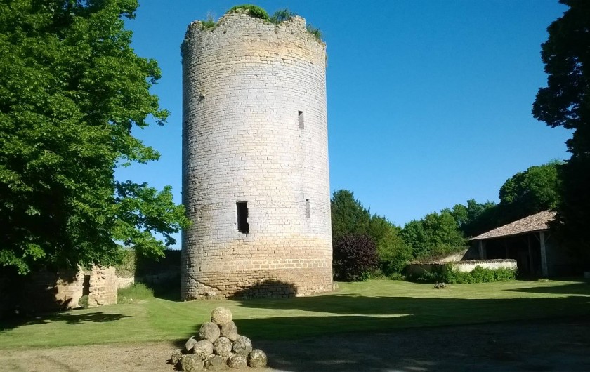 Location de vacances - Château - Manoir à Montreuil-Bonnin - le donjon dans la cour