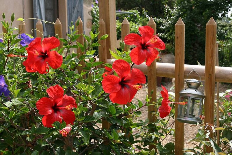 Location de vacances - Chambre d'hôtes à Grimaud