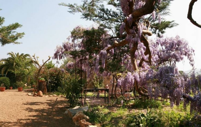 Location de vacances - Chambre d'hôtes à Grimaud