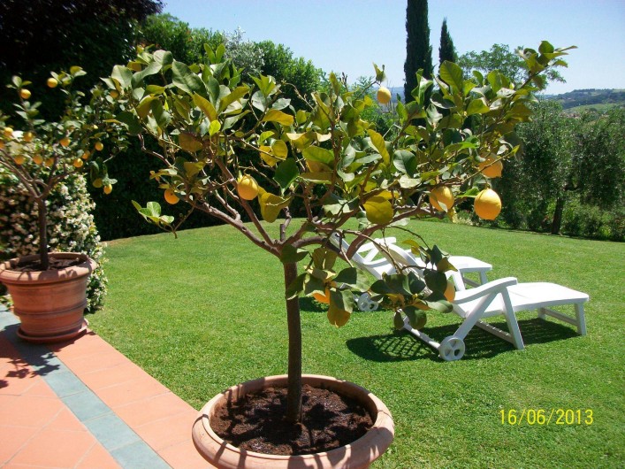 Location de vacances - Appartement à Gambassi Terme