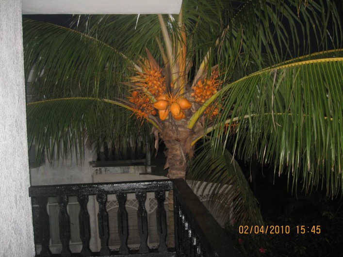 Location de vacances - Villa à Pereybere