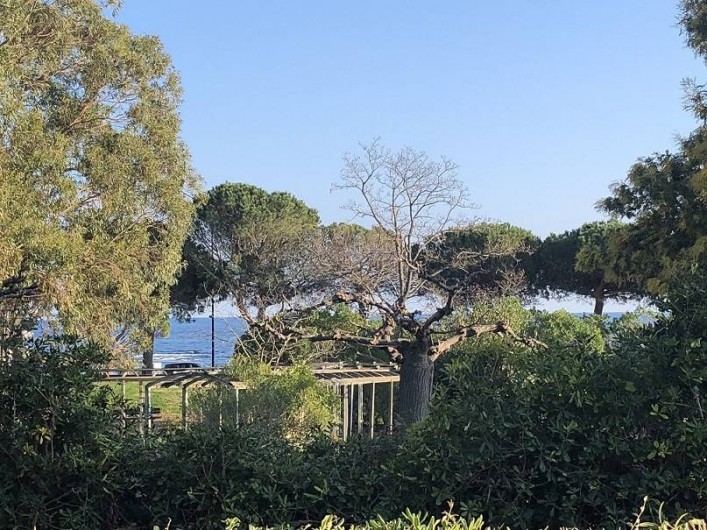 Location de vacances - Appartement à Les Issambres