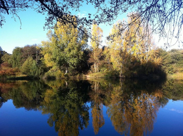 Location de vacances - Gîte à Burgos