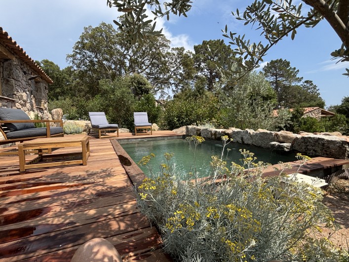 Location de vacances - Villa à Sotta