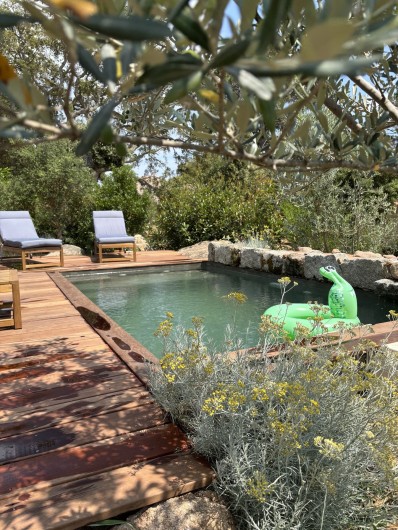 Location de vacances - Villa à Sotta