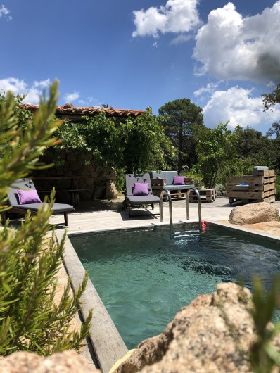 Location de vacances - Villa à Sotta