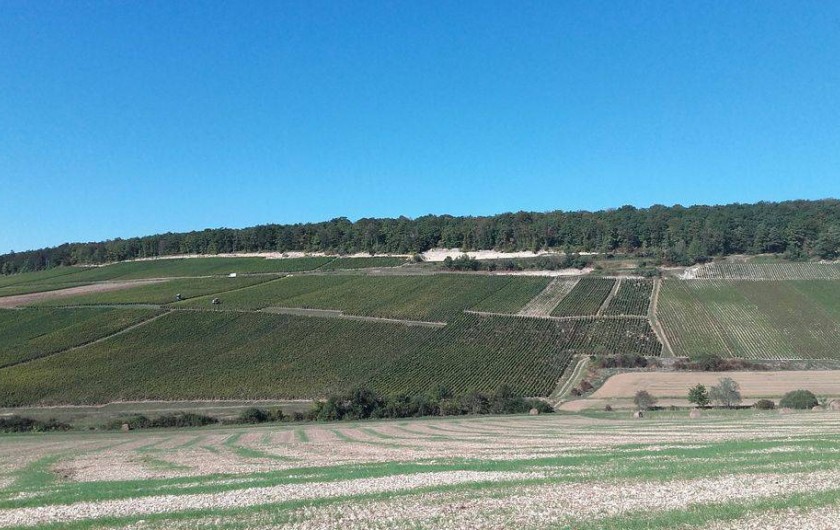 Location de vacances - Maison - Villa à Urville