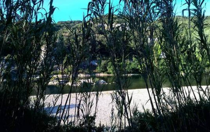 Location de vacances - Maison - Villa à Vers-Pont-du-Gard - bas du terrain vue sur la rivière