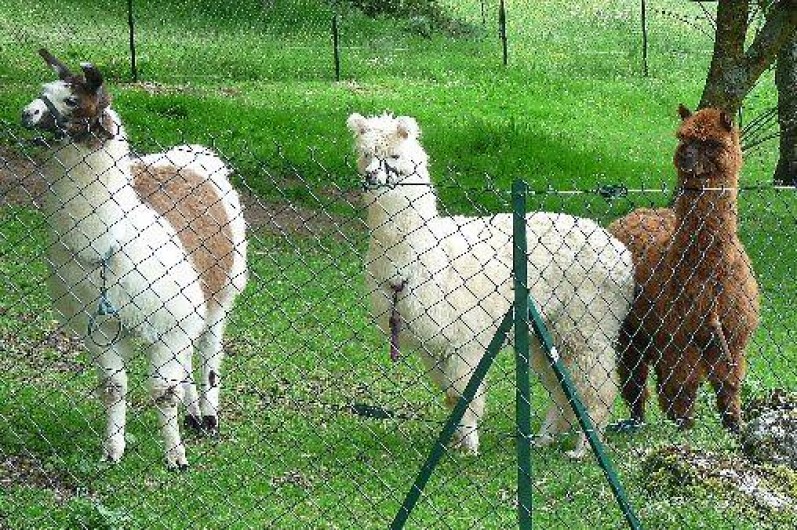 Location de vacances - Gîte à Tournon-d'Agenais