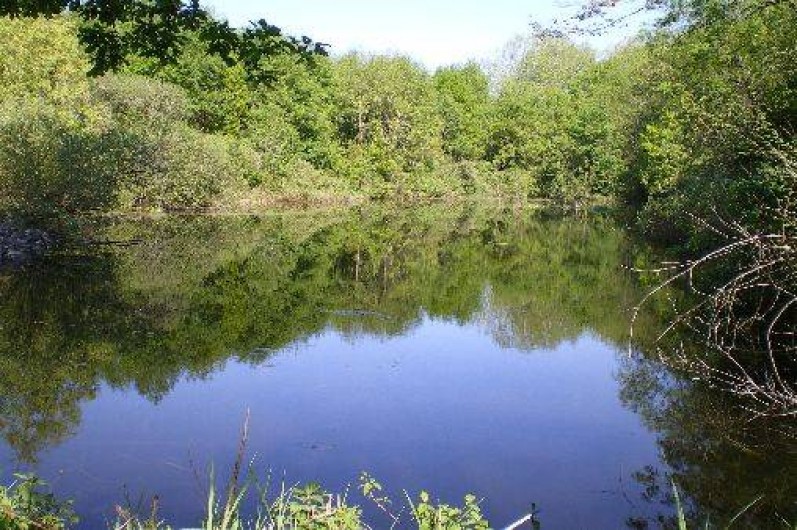 Location de vacances - Gîte à Nanteuil-Auriac-de-Bourzac