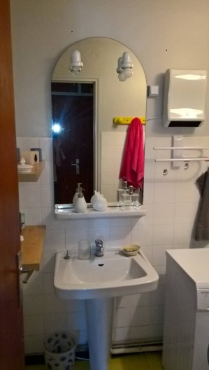 Location de vacances - Appartement à Le Grau-du-Roi - Salle d'eau: lavabo