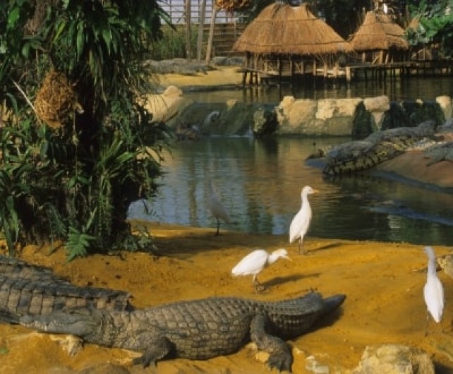Location de vacances - Mas à Chantemerle-lès-Grignan - la Ferme aux Crocodiles