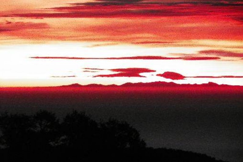 Location de vacances - Mas à Le Lavandou