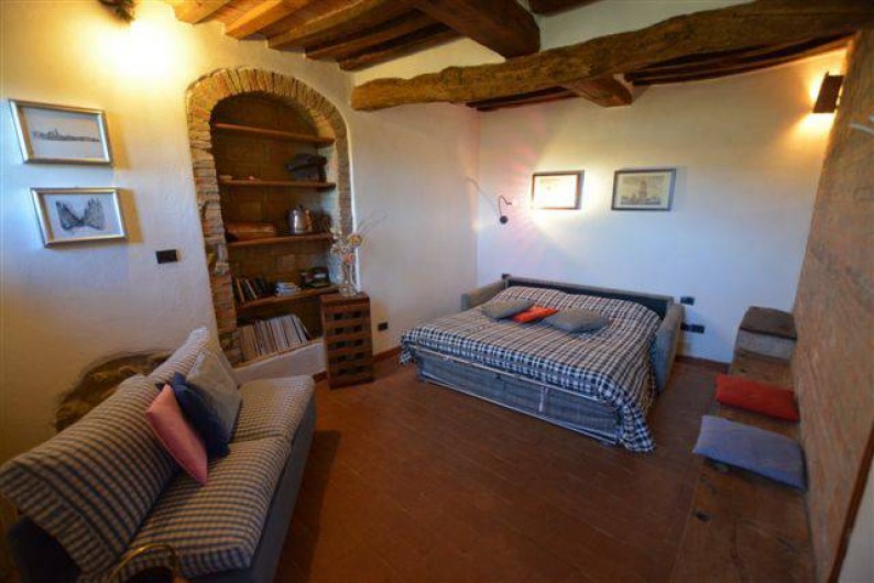 Location de vacances - Appartement à Radicondoli - LIVING ROOM  WITH  BED SOFA'