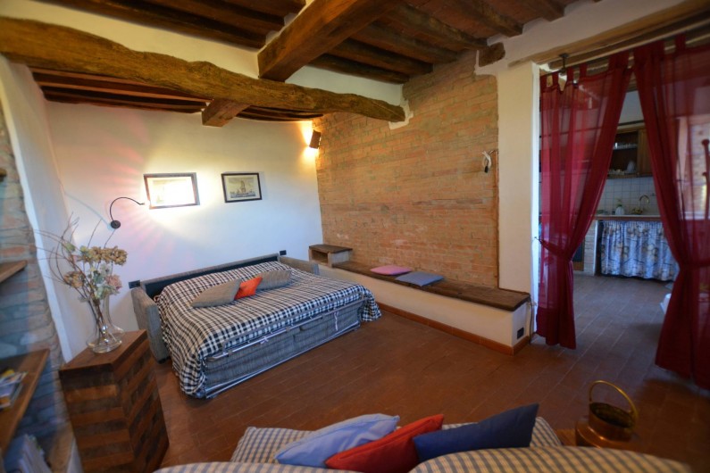 Location de vacances - Appartement à Radicondoli - LIVING ROOM  WITH  BED SOFA'