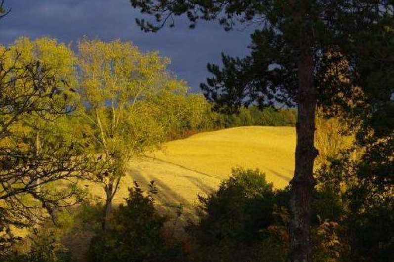 Location de vacances - Gîte à Vic-Fezensac