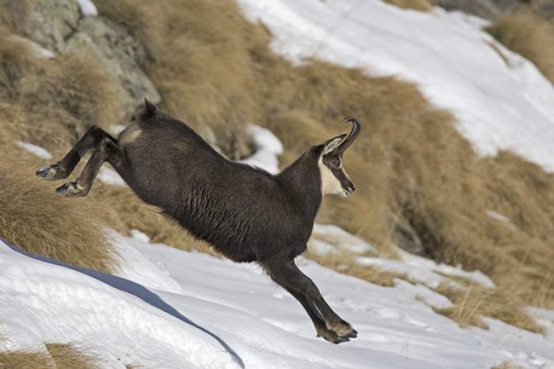 Location de vacances - Appartement à Bernex