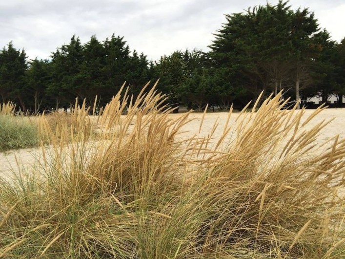 Location de vacances - Villa à Île-Tudy