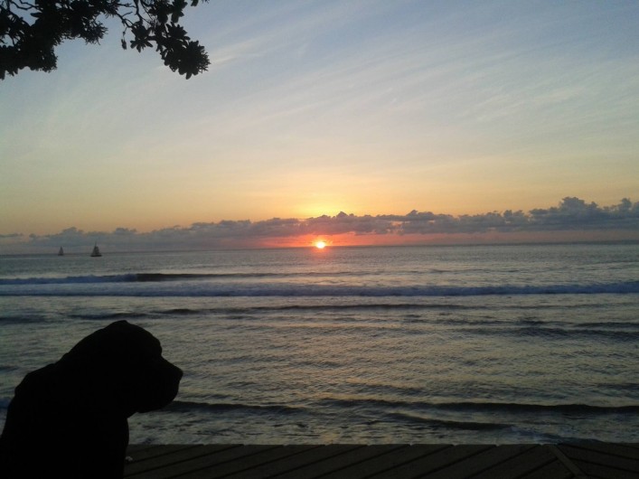 Location de vacances - Appartement à Saint-Gilles les Bains