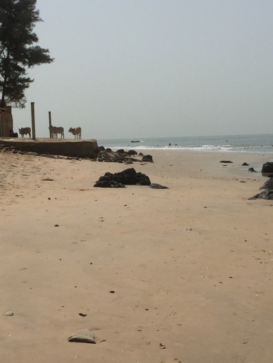 Location de vacances - Villa à Somone - la plage et ses touristes