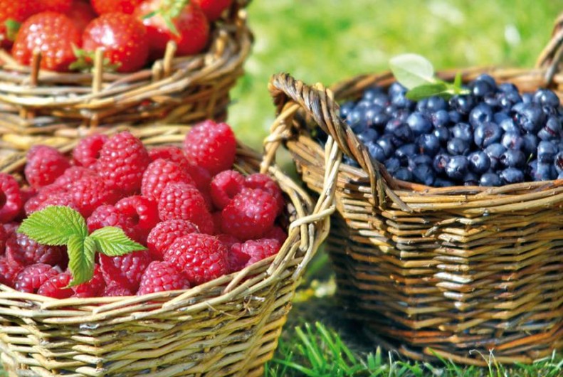 Location de vacances - Maison - Villa à Craponne-sur-Arzon