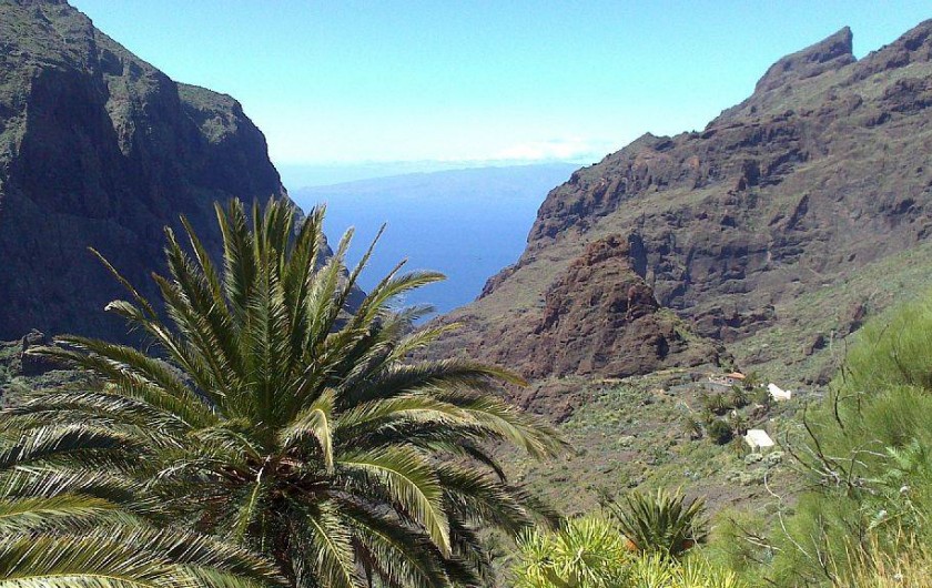 Location de vacances - Appartement à Arona