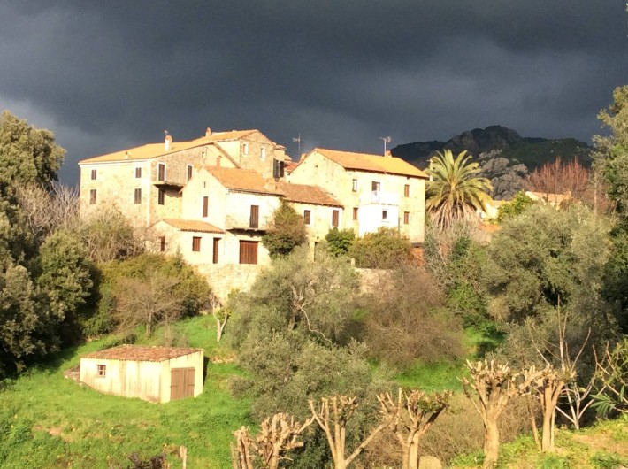 Location de vacances - Appartement à Eccica-Suarella
