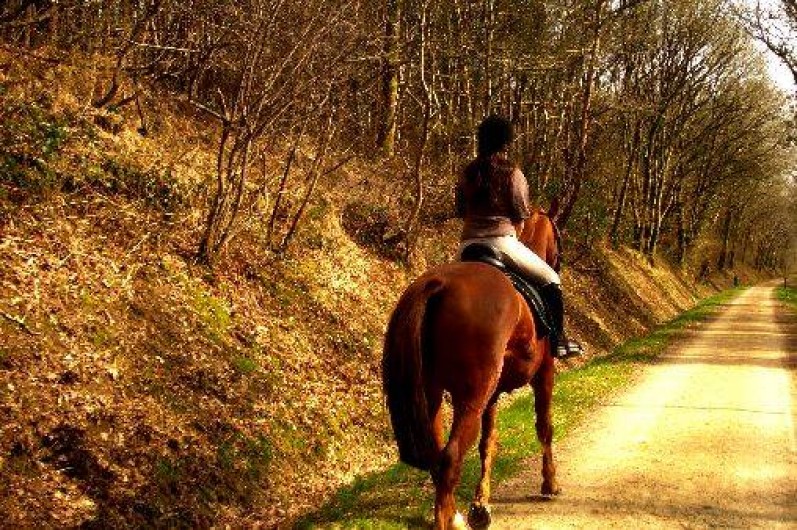 Location de vacances - Gîte à Lohuec