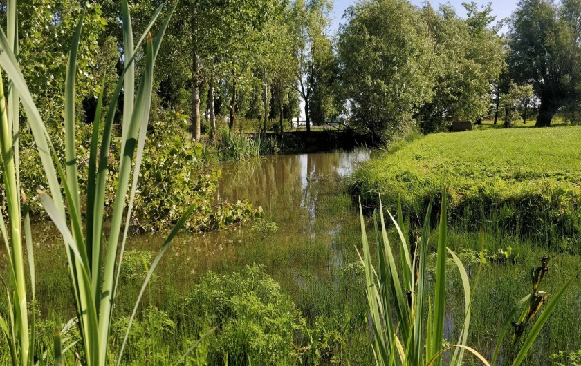 Location de vacances - Bungalow - Mobilhome à Crochte - Étang de pêche