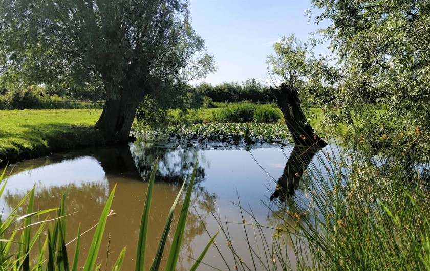 Location de vacances - Bungalow - Mobilhome à Crochte - Étang de pêche