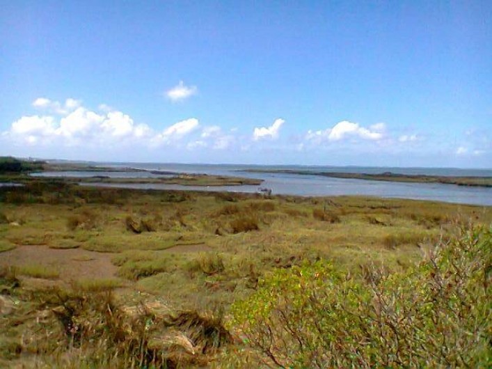 Location de vacances - Villa à Gujan-Mestras - les prés salés