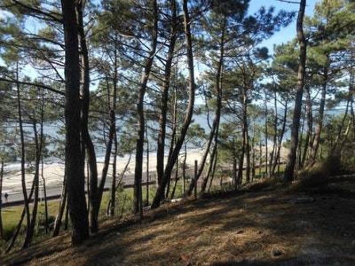 Location de vacances - Villa à Gujan-Mestras - les pinèdes landaises  en bordure d'océan